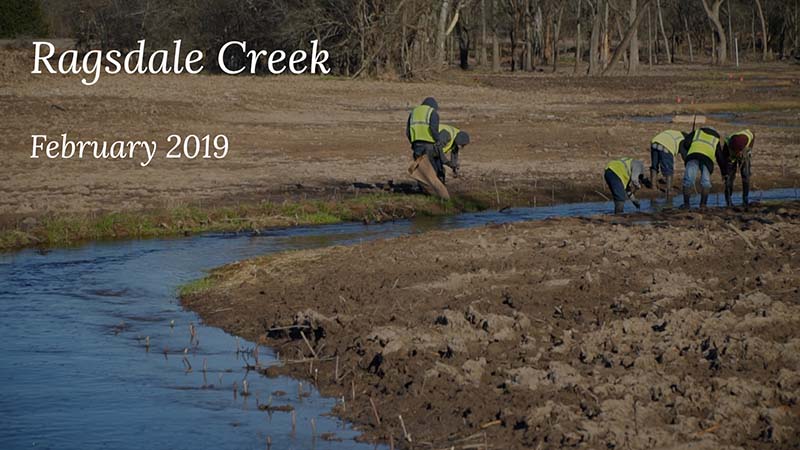 Ragsdale Creek, February 2019: A group of people lean over, laboring in a creek that winds through a muddy field. A stand of barren trees edges the frame.