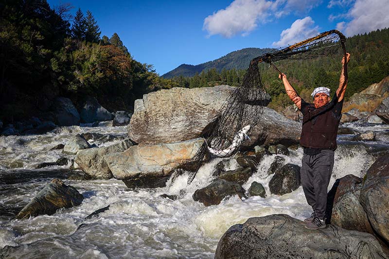 man standing on the banks of a rushing river. He is holding a net above his head and there is a large salmon caught in the net.