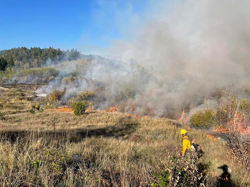 Someone wearing bright yellow hardhat and work clothes stands in front of a meadow. Fire creeps along the outside edge of the meadow where smoke rises through a stand of trees. More workers clad in yellow walk along the fire-line further uphill.