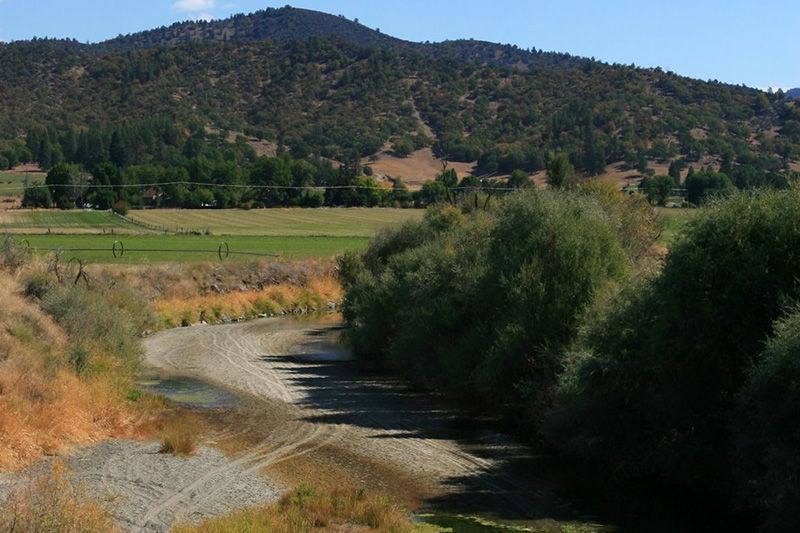 foreground shows water moving through sandy banks with some light bushes and tall grasses surrounding the banks. In the background are some crops which are being watered with an industrial size sprinkler and tree covered hills behind the agriculture