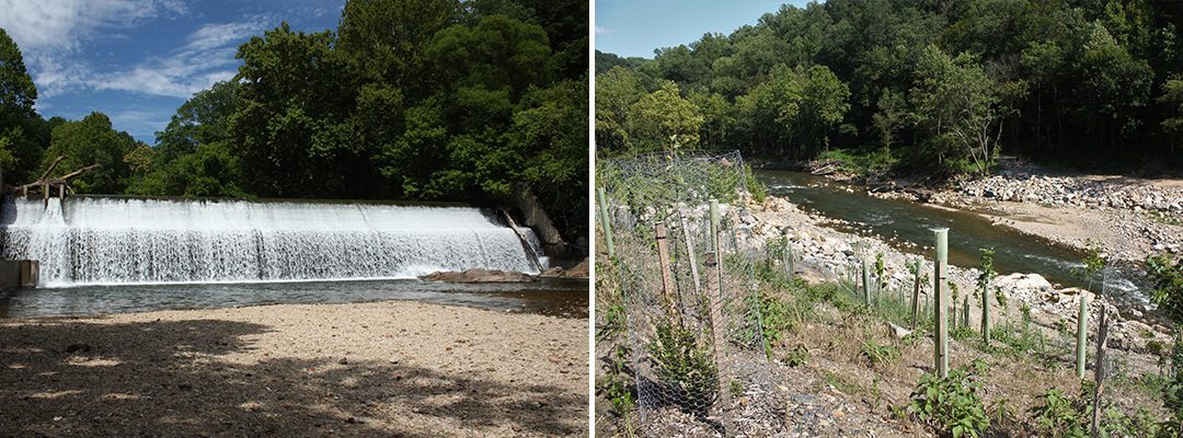 Sedimentation and Dam Removal: Bringing a River Back to Life